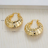 Earrings statement hoops